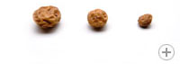 TIGERNUTS