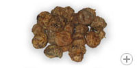 MINI TIGERNUTS