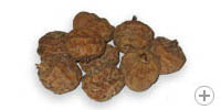 Large tigernuts