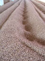 DRYING
