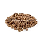The tigernuts