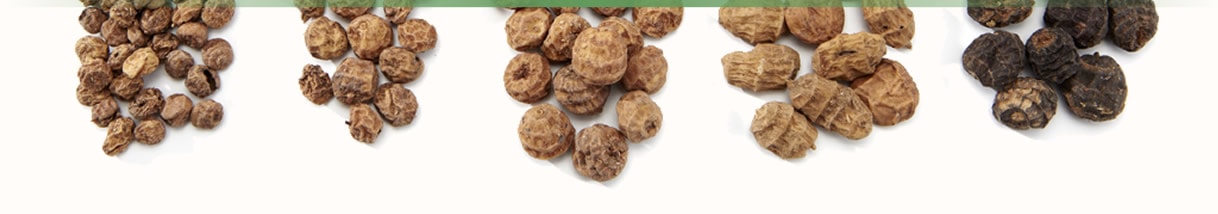 tigernuts-productos