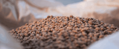 CHUBA: innovation with Tigernuts Butt3r to combat child malnutrition