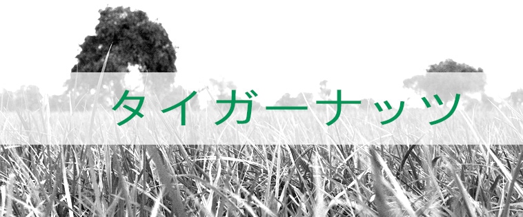 ビオタイガーナッツ, オーガニックなタイガーナッツは有機栽培されています。