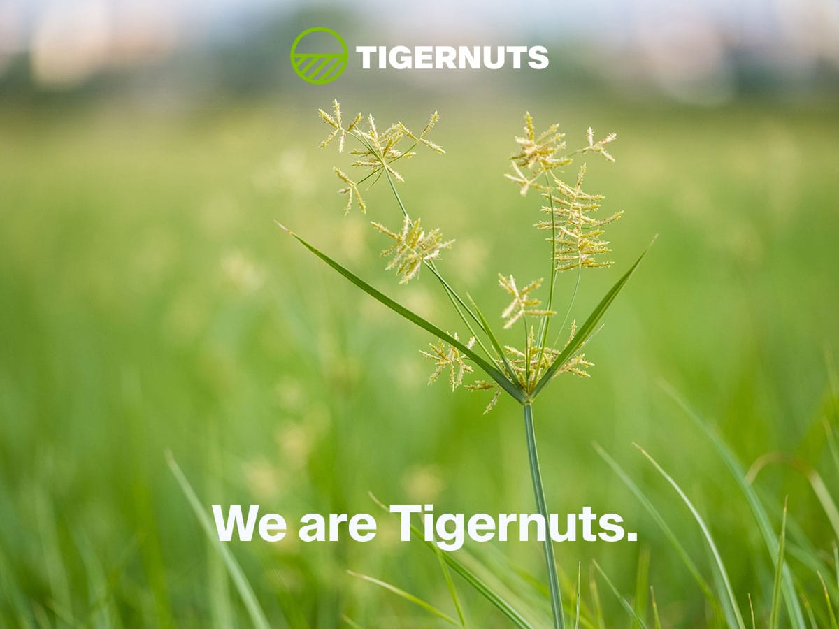 (c) Tigernuts.com